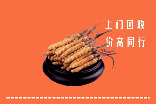 高价求购：郑州回收散虫草