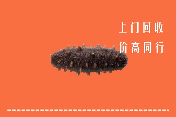 郑州高价回收海参