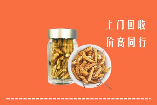 高价求购：郑州回收冬虫夏草