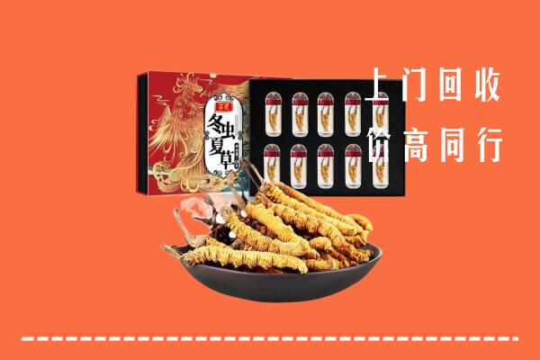 收购行情：郑州回收虫草